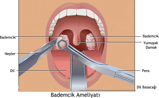 bademcik